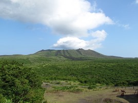 伊豆大島の自然