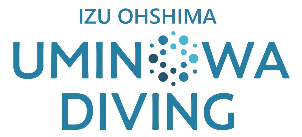 伊豆大島ダイビング うみのわ UMINOWA