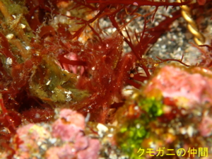 Thumbnail of post image 086