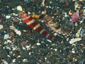 Thumbnail of post image 200