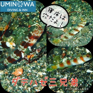 Thumbnail of post image 077