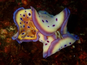 Thumbnail of post image 002