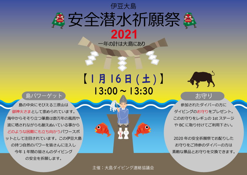 冬のダイビングイベントを開催 伊豆大島ダイビングうみのわ