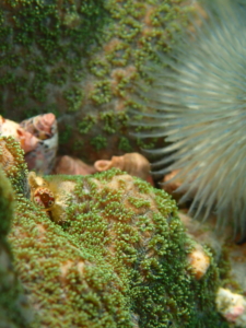 Thumbnail of post image 109