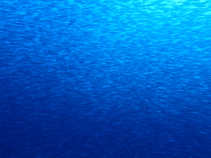 Thumbnail of post image 156