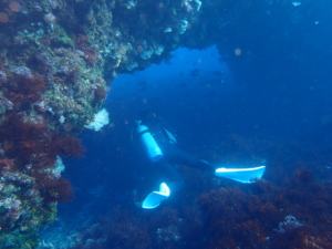 Thumbnail of post image 061