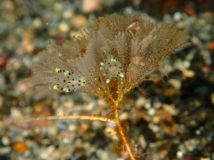 Thumbnail of post image 114