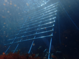 Thumbnail of post image 046