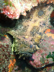 Thumbnail of post image 017