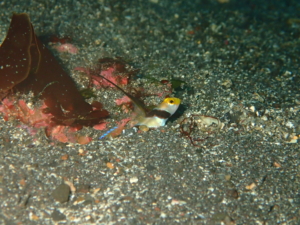 Thumbnail of post image 189