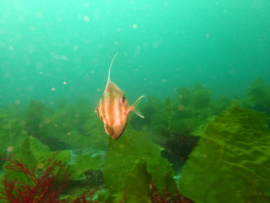 Thumbnail of post image 106