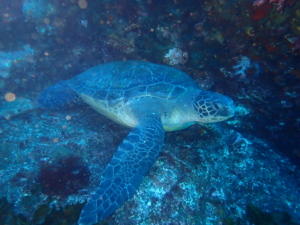 Thumbnail of post image 176