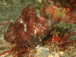 Thumbnail of post image 104