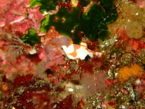 Thumbnail of post image 080