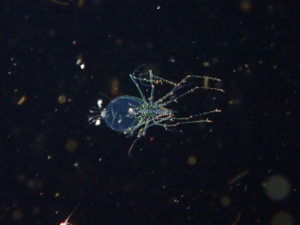 Thumbnail of post image 011
