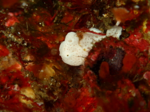 Thumbnail of post image 005