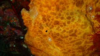Thumbnail of post image 111
