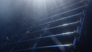 Thumbnail of post image 114