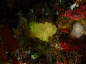 Thumbnail of post image 192