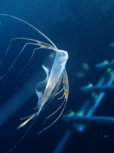 Thumbnail of post image 047