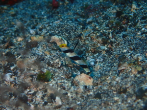 Thumbnail of post image 151