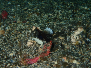 Thumbnail of post image 199