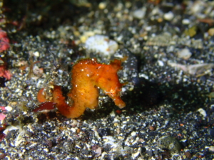Thumbnail of post image 021