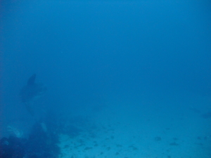 Thumbnail of post image 029