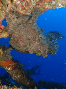 Thumbnail of post image 116