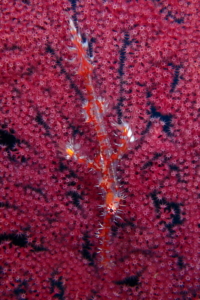 Thumbnail of post image 123