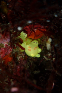 Thumbnail of post image 089