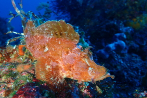 Thumbnail of post image 012