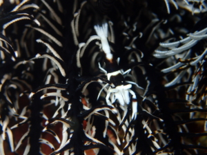 Thumbnail of post image 004