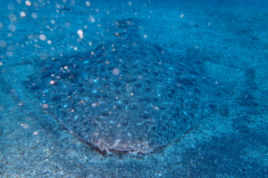 Thumbnail of post image 058