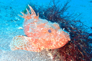 Thumbnail of post image 040