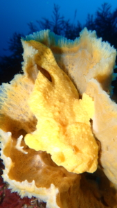 Thumbnail of post image 023