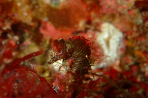 Thumbnail of post image 179