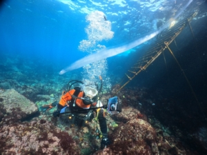 Thumbnail of post image 028