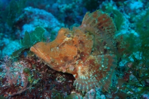 Thumbnail of post image 016