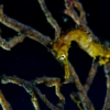 Thumbnail of related posts 069