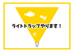 Thumbnail of post image 087