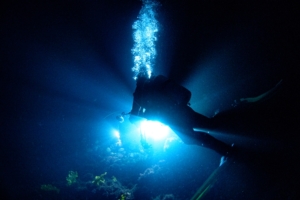 Thumbnail of post image 136