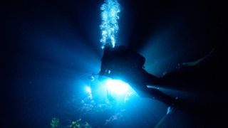 Thumbnail of post image 170