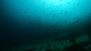 Thumbnail of post image 148