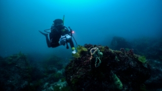 Thumbnail of post image 139