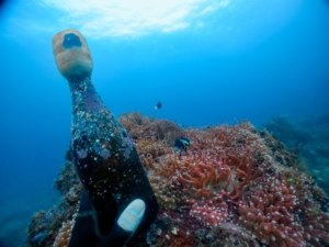 Thumbnail of post image 111