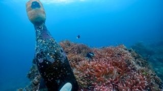 Thumbnail of post image 162