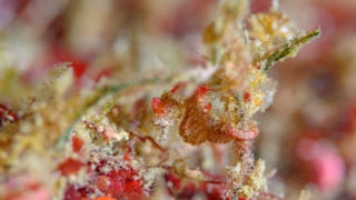 Thumbnail of post image 180