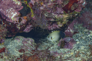 Thumbnail of post image 184