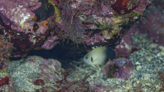 Thumbnail of post image 010